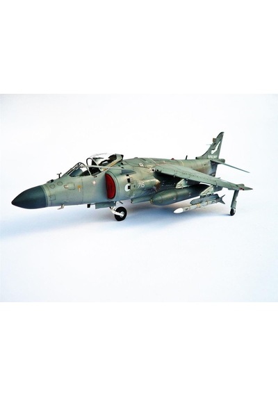Kinetic K48041 1/48 Ölçek, Sea Harrier Fa2 Savaş Uçağı, Plastik Model Kiti-56334