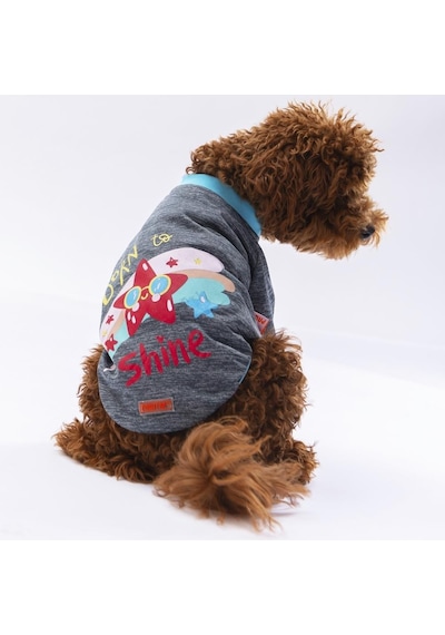 Pawstar Füme Shine Kedi Köpek Sweati Kıyafeti