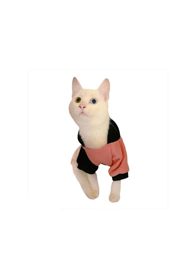 Kemique London Pineapple Kapüşonlu Kedi Süveteri Kemique London Pineapple Kapüşonlu Kedi Süveteri