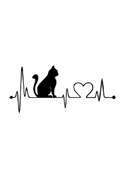 Kalp Kedi Araba Sticker Yapıştırma