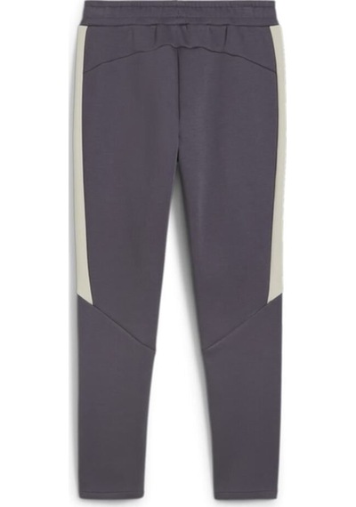 Puma Erkek Sweat Pant Evostrıpe Pants 68170269 001