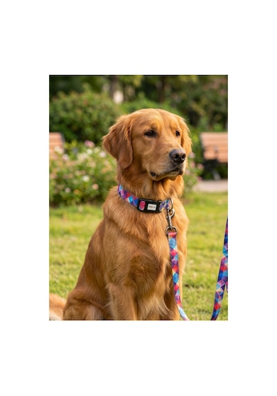 Geri Dönüştürülmüş Doğa Dostu Ayarlanabilir Kedi Köpek Boyun Tasması Pembe Baklava Desenli Pembe