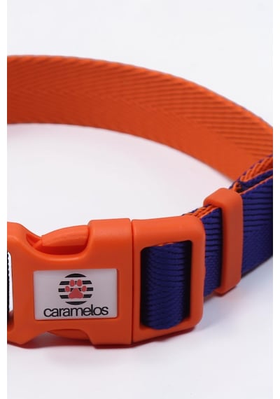 Caramelos Orta Ve Büyük Irk Ayarlanabilir Köpek Boyun Tasması, 2,5 Cm Tl Lacivert - Turuncu