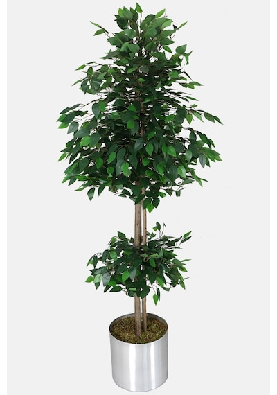 Yapay Çiçek Deposu Gri Metal Saksıda Yapay Benjamin Ağacı Ficus Benjamina 180 Cm Yeşil
