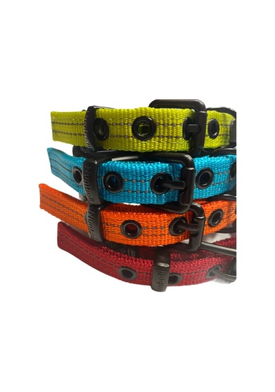 İçi Köpük Destekli Şık Premium Boyun Tasması 1,5 Cm X 25-33 Cm Çok Renkli