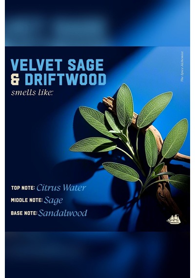 Old Spice Velvet Sage & Driftwood Şampuan 591ml