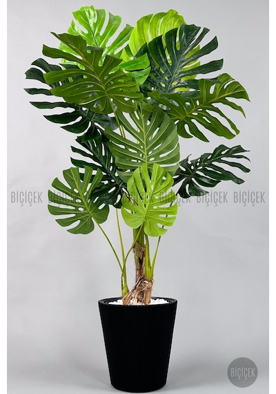 Biçiçek Yapay Monstera Ağacı Deve Tabani 160 Cm Si̇yah Luna Saksıda