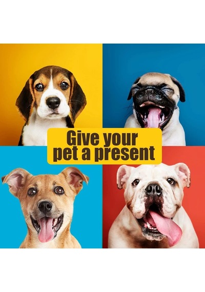 Tr Kare Büyük Köpek Yatağı Yıkanabilir Pedler Oda Su Geçirmez Alt Canlı Pembe