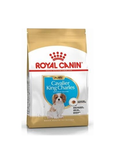 Cavalier King Charles Puppy Yavru Köpek Maması 1,5 Kg