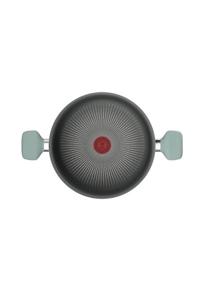 Tefal Halo Okaliptus Derin Tencere- 24 Cm 2100143071
