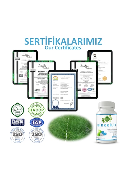 Gökçek Şifa Kırkkilit 60 Kapsül