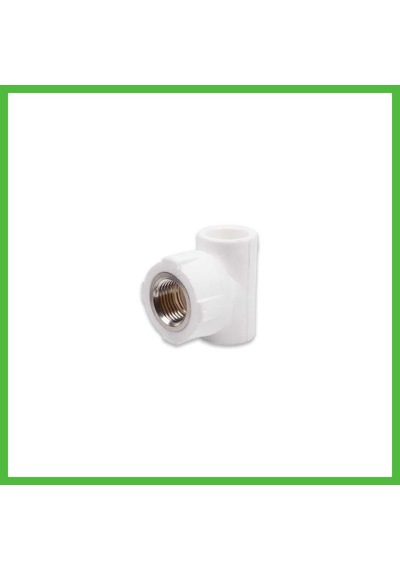 Vaveni Pprc 20mm1/2 İç Dişli T 1 Adet Arz
