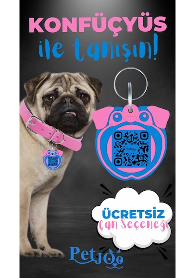 Petjoo 9.Konfüçyüs Mavi-Pembe Qr'lı Köpek Künyesi