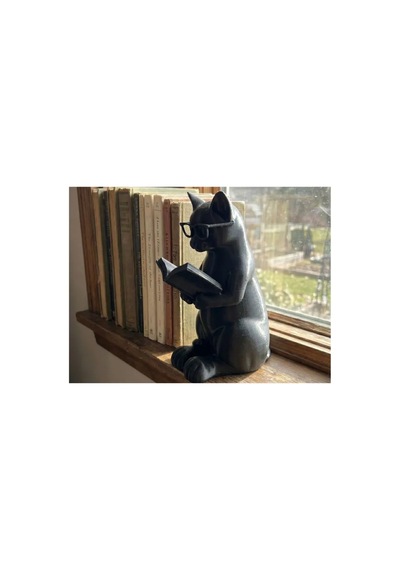 Kitaplık Aksesuarı - Kitap Okuyan Kedi 0