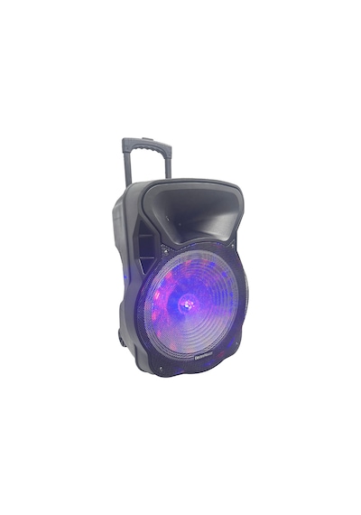 Electromaster Es-3030 150w Ses Sistemi