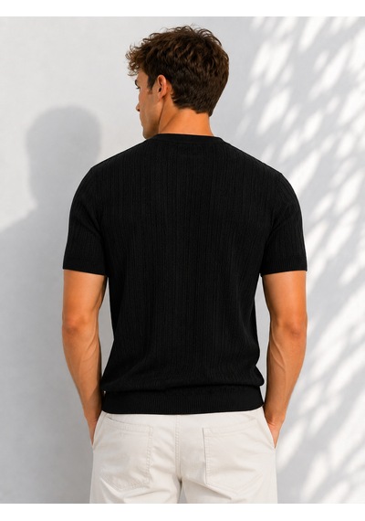 Ribana Erkek Bisiklet Yaka Kısa Kollu Esnek Örme Triko T-shirt 26091 Siyah