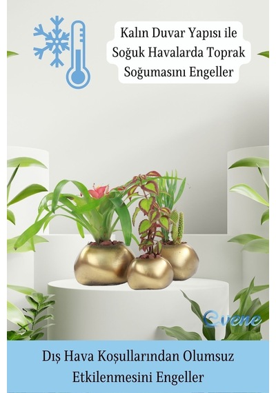 Saksı Çiçek Kaktüs Saksısı Lüx 14 Cm Elips Desenli 3'lü Set Çiçeklik - Altın Eskitme