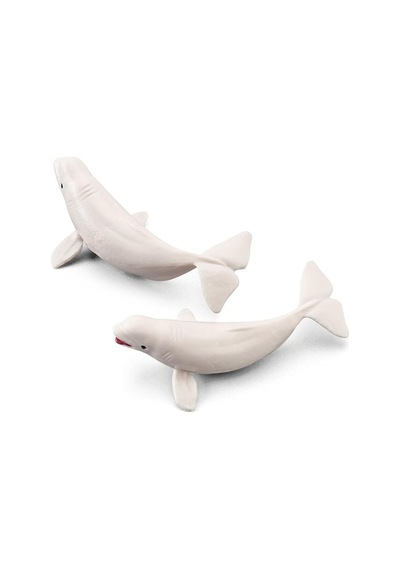 Deniz Hayvanları 3d Standlı Hayvan