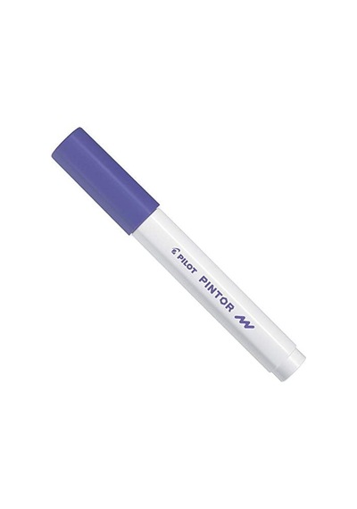 Pilot Pintor F, Mor