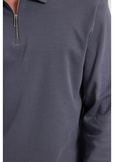 Tudors Erkek Relax Fit Rahat Kesim %100 Pamuk Yarım Fermuarlı Polo Yaka İnterlok Antrasit Sweatshirt-42172 Antrasit