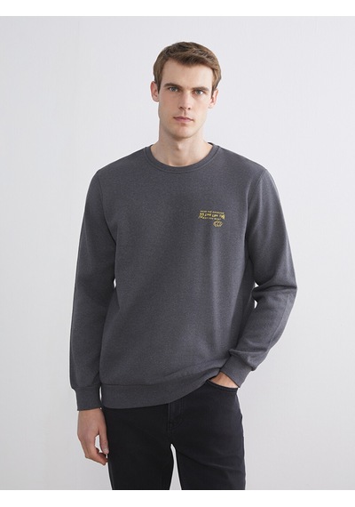 Lcw Eco Antrasit Bisiklet Yaka Baskılı Erkek Sweatshirt