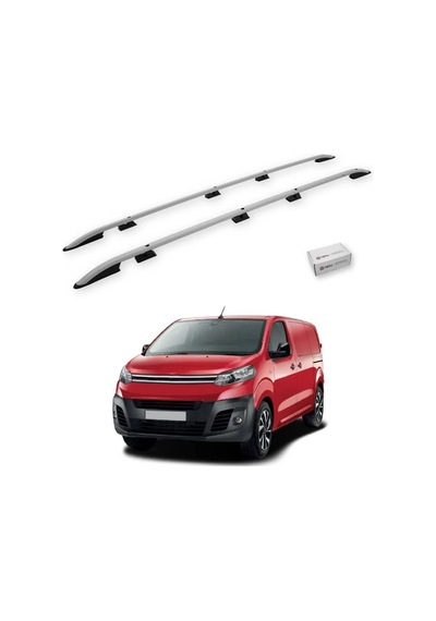 Turtle Citroen Dispatch Mk3 2017-2025 / Uzun Şasi Tavan Çıtası Crown Gri