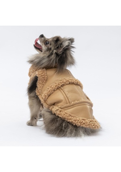 Bej Churchill Yelek Köpek Yeleği Köpek Kıyafeti Köpek Yağmurluk