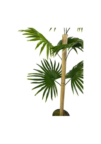 Yapay Ağaç Fanpalm 8yaprak 85 45cm Yelpaze Palmiye Siyah Aleminyum Saksı