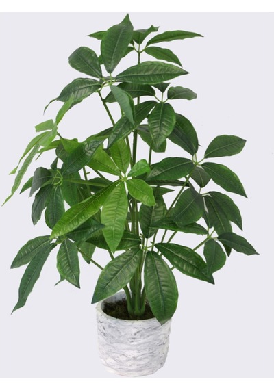 Saksıda Yapay 18 Dallı Rubber Tree Bitkisi 70cm