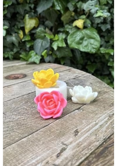 Sukulent Mum Kalıbı Silikon Çok Renkli