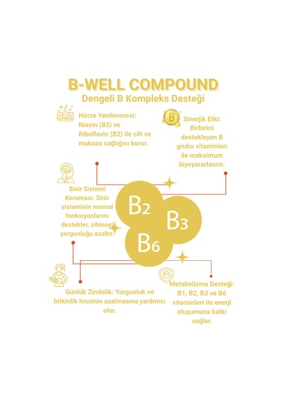 B Well Compound B1 B2 B3 B6 Vitaminleri İçeren 90 Tablet