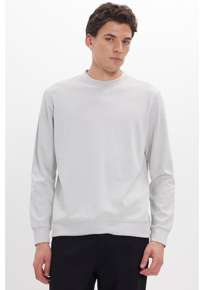 Tudors Erkek Standart Fit Normal Kesim Uzun Kollu Ekstra Soft Modal Kumaş Bisiklet Yaka Taş Sweatshirt-50210