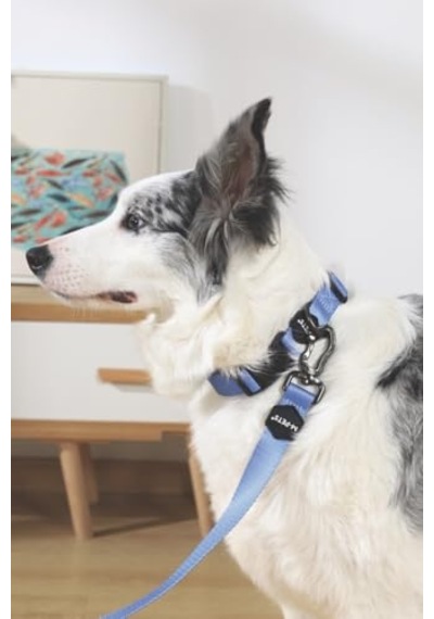 M-pets Gentle Dog Gezdirme Kayışı S Blue