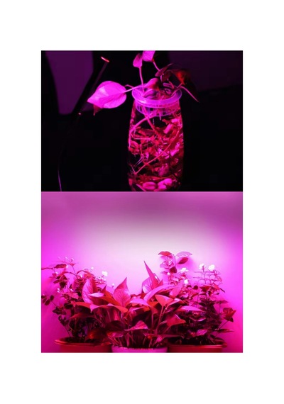 Grow Led 72ledli 12v5630 Full Spectrum Bitki Yetiştirme Ledi 1mt.