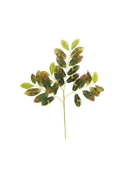 Yapay Kraton Ağacı Yaprağı 70 Cm-10013