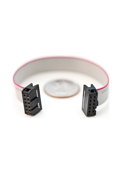 20cm 10 Pin Idc Flat Kablo