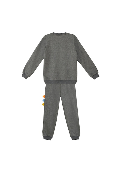 Denokids Rawr Tırtırlı Erkek Çocuk Antrasit Eşofman Takım Antrasit