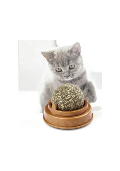 Herşeytrend Kedi Nanesi Oyun Topu
