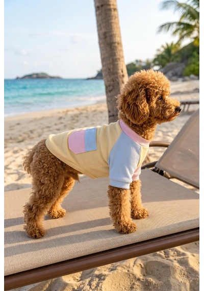 Soft Sun Köpek Tişörtü Cepli Şeker Renkli Yazlık Köpek Kıyafeti Küçük Irklar İçin