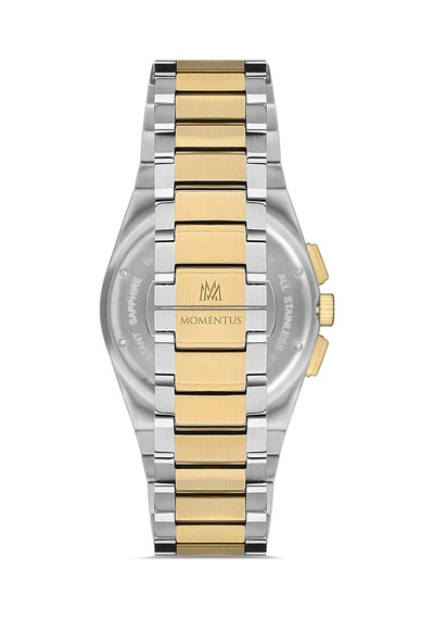 Momentus Men's Time Master Tm345t-02sg Gümüş - Altın