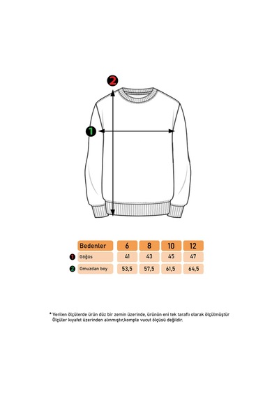 Toontoy Kız Çocuk Nakışlı Sweatshirt Gülkurusu