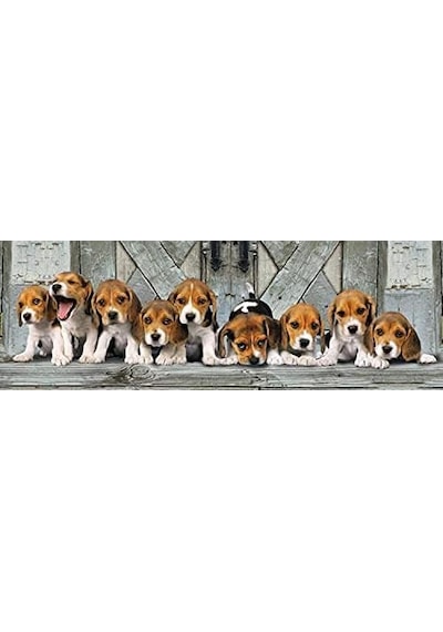 - 1000 Parça Hq Panorama Yetişkin Puzzle - Beagles