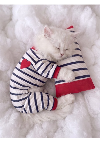 Mon Amour Çizgili Kedi Uyku Seti Penye Kedi Tulum Ve Mini Yastık Takımı Pamuklu Tüy Dökülmesini Azaltır