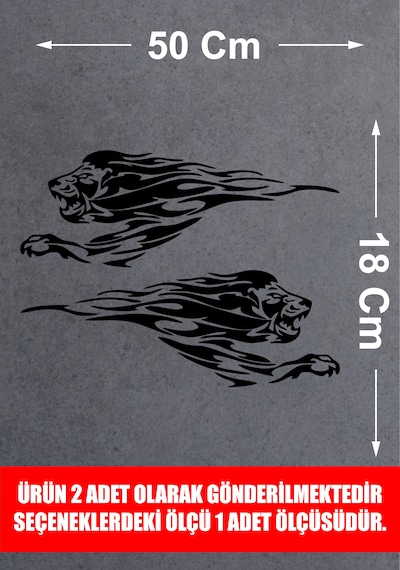 Aslan Sticker 2 Adet - Araba Oto Motosiklet Karavan Cam Sticker - 00109 50X18 Cm
