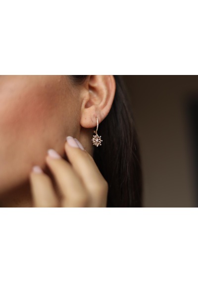 Reis Kuyumculuk 1352 Pusula  Küpe Pembe Altın- Rose Gold Altın  Küpe