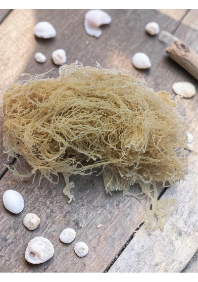 Sakızağacıaktar Deniz Kadayıfı 100 Gr