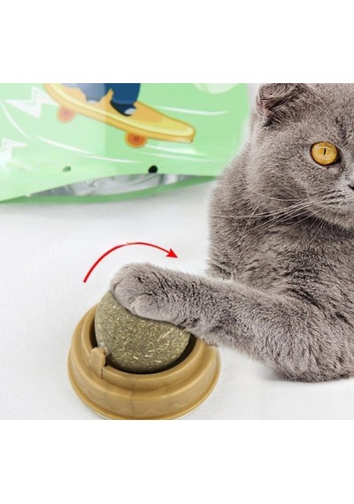 Kedi Otu Oyun Topu 4 Renk