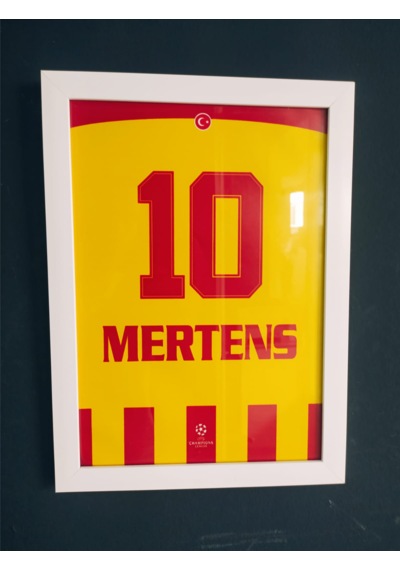 21x30 Cm Dries Mertens Forma Tasarımlı Poster Tablo Cam Çerçeveli