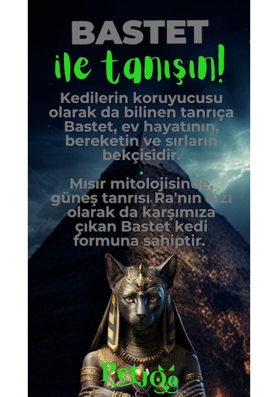 Petjoo 1.Bastet Yeşil-Gri Qr'lı Kedi Künyesi