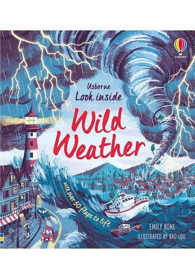 The Usborne Look Inside Wild Weather 5+ Yaş
